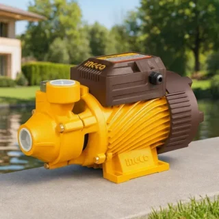 POMPE A EAU 550W 0,75HP+ AUTOMATIQUE  VPM55068